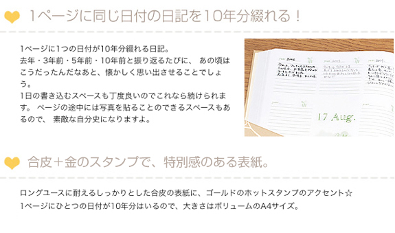 10年日記 ディズニー
