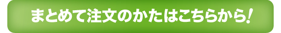 介護用お名前シール　まとめて注文 