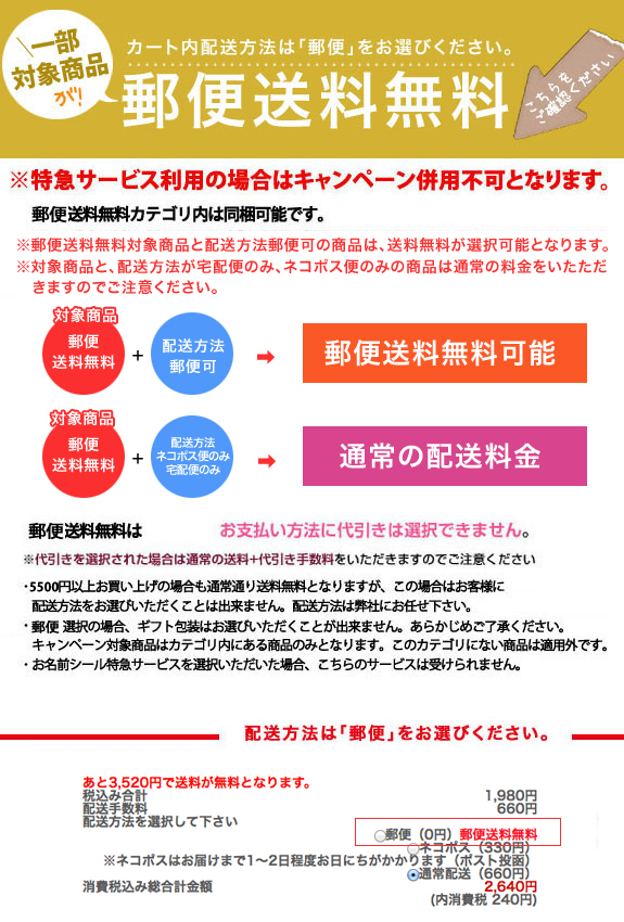 メール便送料無料