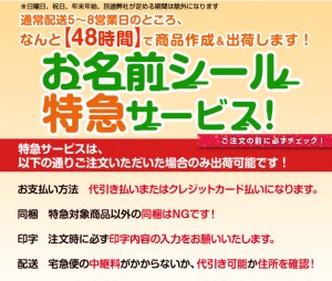 2013_0315_tokkyu