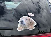 レトリーバー×ディアカーズコラボ うちの子の写真でつくる オーダーメイド ひょっこり犬シールセット